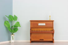 Lade das Bild in den Galerie-Viewer, Marinee Ambiente-Box ohne Deckenfarbe inkl. Malerutensilien