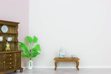 Lade das Bild in den Galerie-Viewer, Orchidee Box (3 Moussee Rosatöne inkl. Malerutensilien)
